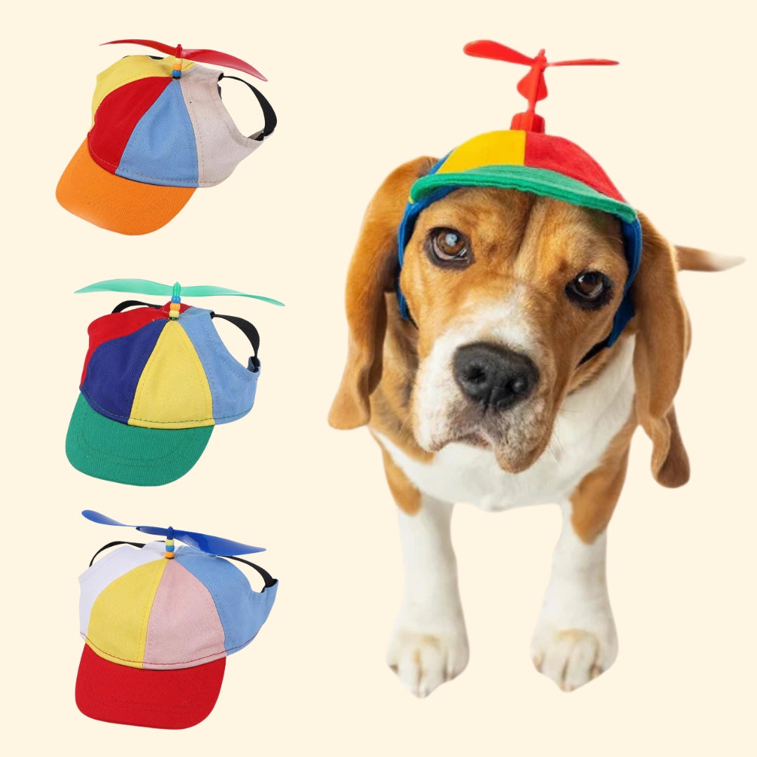 Puppy Fun Propeller Cap Dog Hat