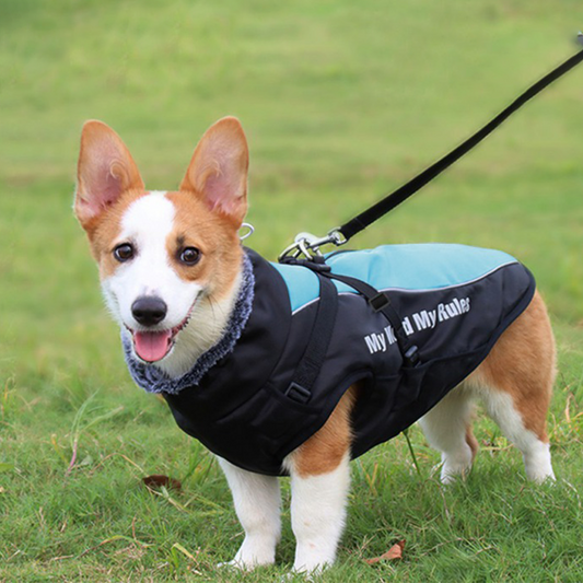 Waterproof Windproof Dog Winter Coat with Fleece Lining and Faux Fur Collar