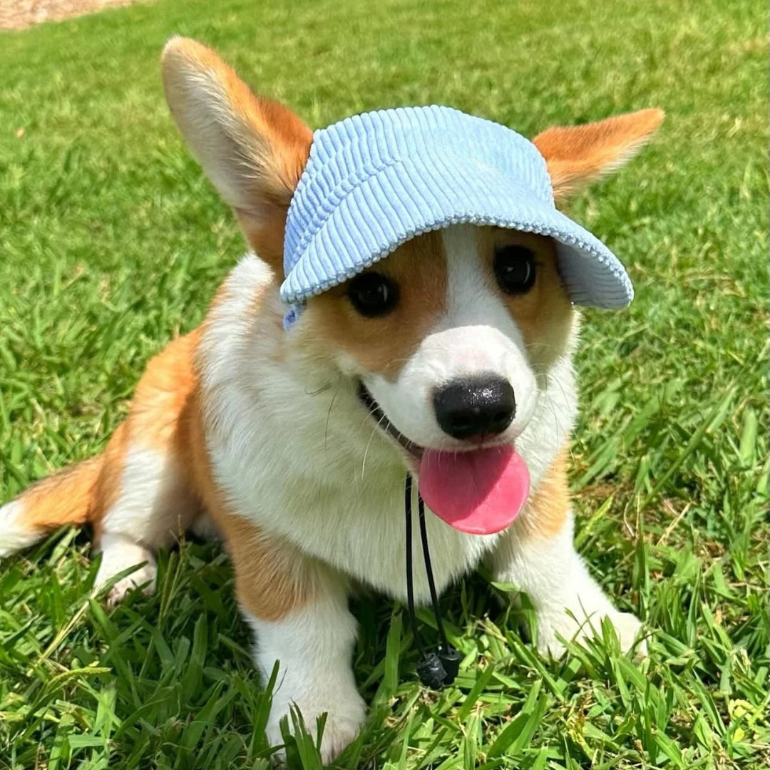 PupCap Dog Corduroy Outdoor Cap