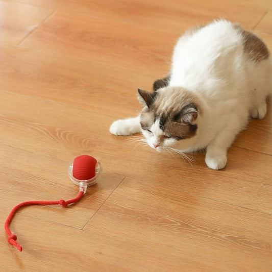 Automatic Interactive Smart Rolling Ball Pet Toy