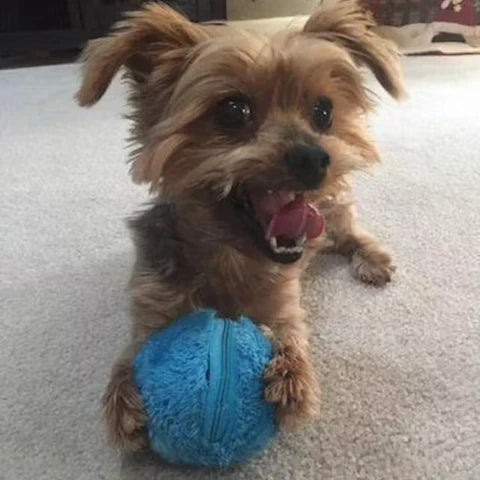 Fun Interactive Rolling Ball Dog Toy
