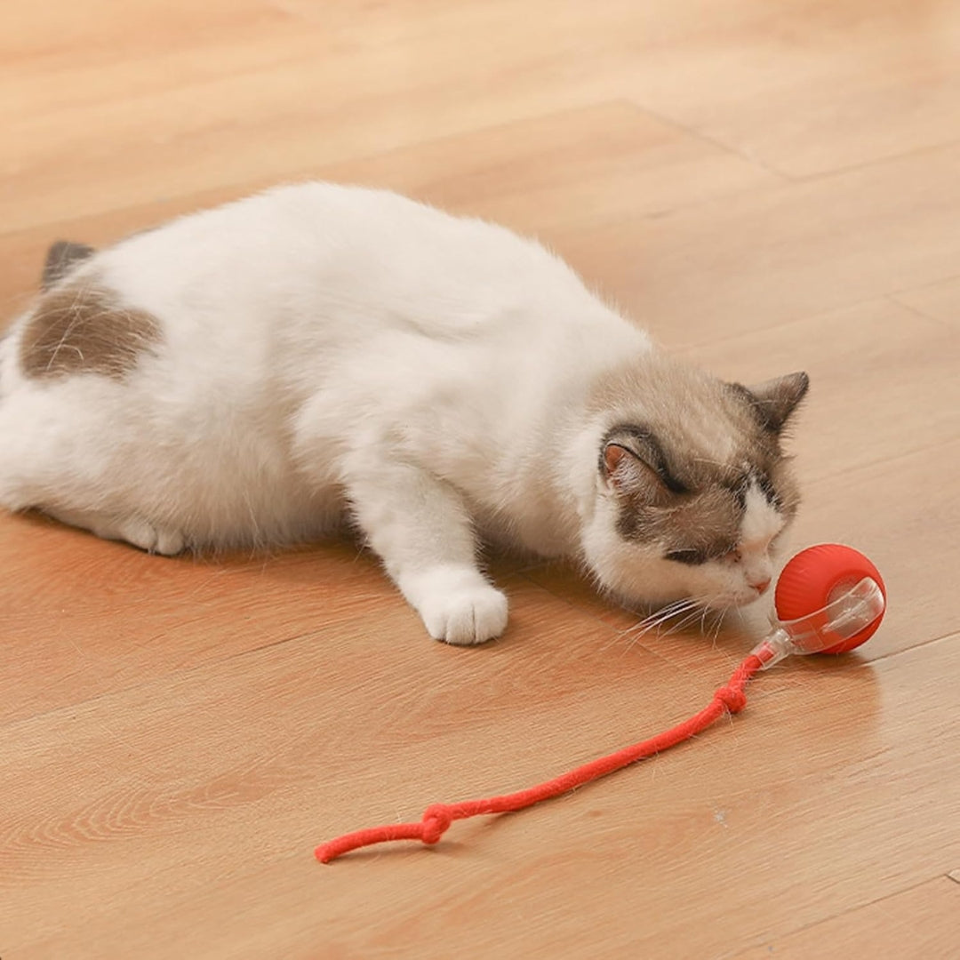 Automatic Interactive Smart Rolling Ball Pet Toy
