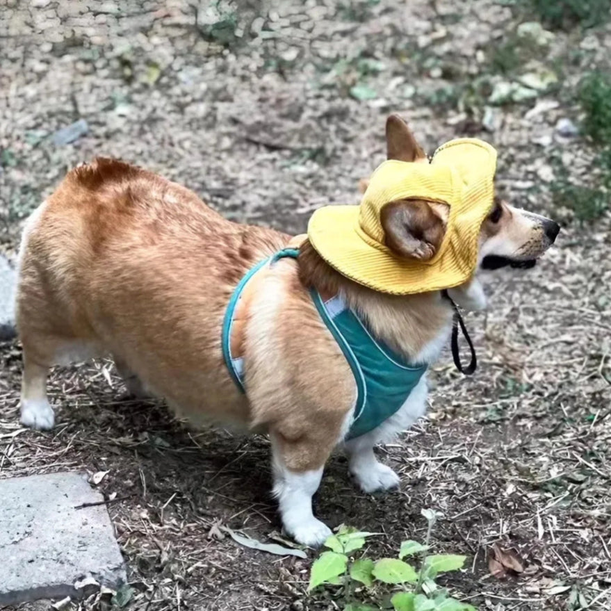 PupCap Dog Corduroy Outdoor Bucket Hat