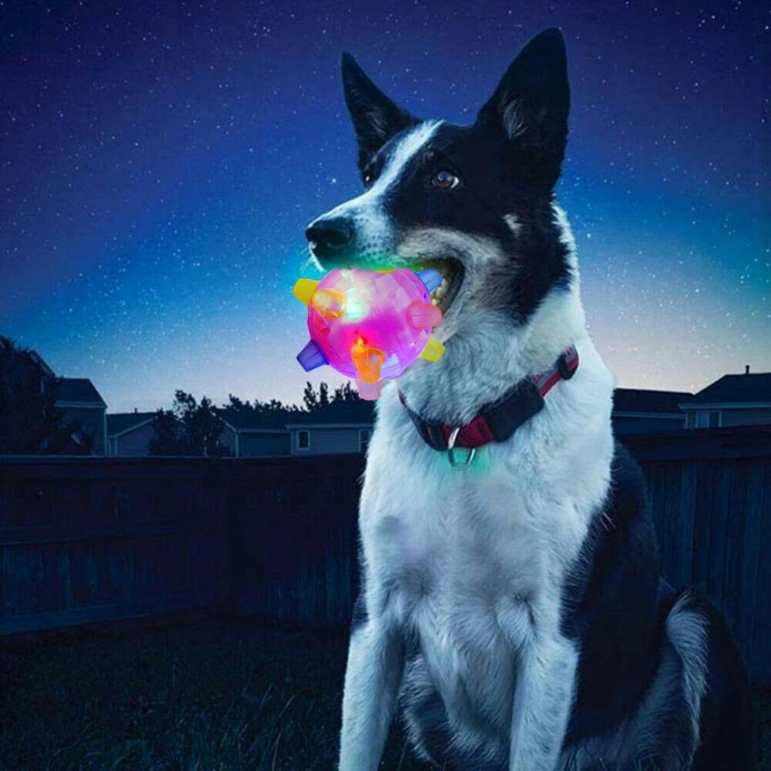 LED Jumping Activation Ball | Bouncing Interactive Dog Toy