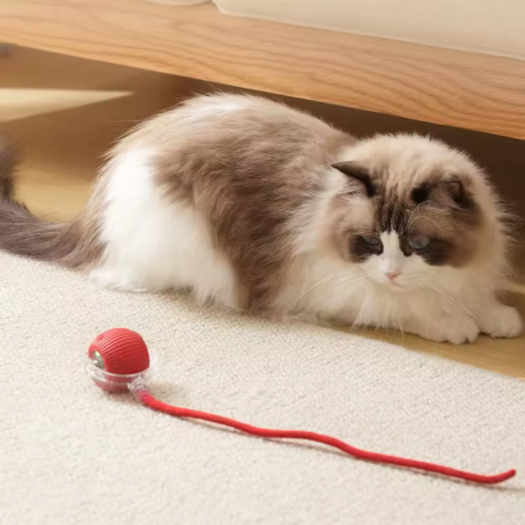 Automatic Interactive Smart Rolling Ball Pet Toy