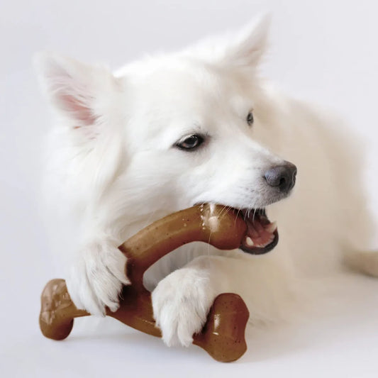 Bacon-Flavored Tough Dog Chew Toy for Teething | Dental Care