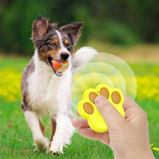 Interactive Remote-Controlled Dog Bouncing Ball | LED Jumping Pet Toy