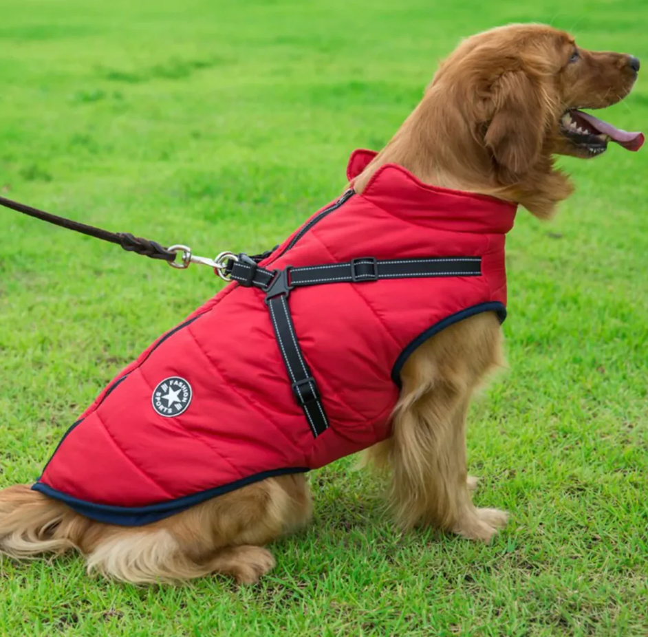 Waterproof Dog Winter Coat with Built-In Harness