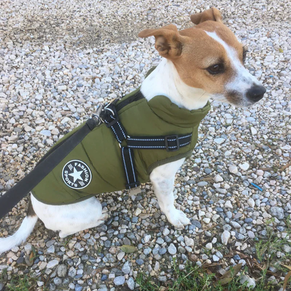 Waterproof Dog Winter Coat with Built-In Harness