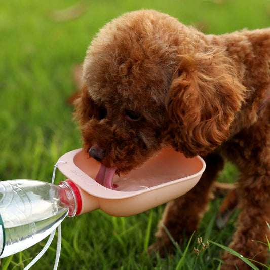 Portable Dog Water Bottle Cap Dispenser