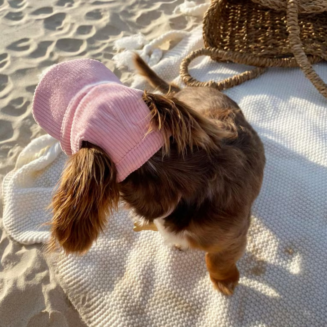 PupCap Dog Corduroy Outdoor Cap