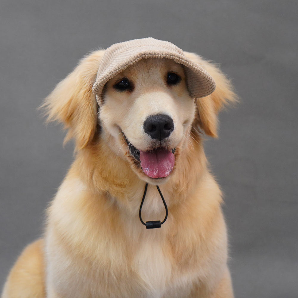 PupCap Dog Corduroy Outdoor Cap