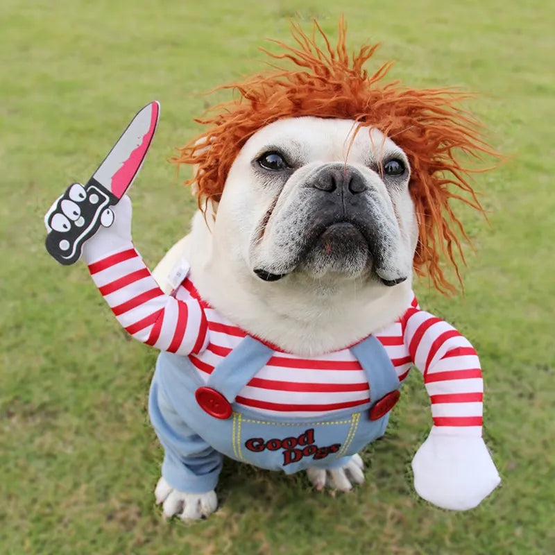 Funny Dog Dress Up Halloween Costume