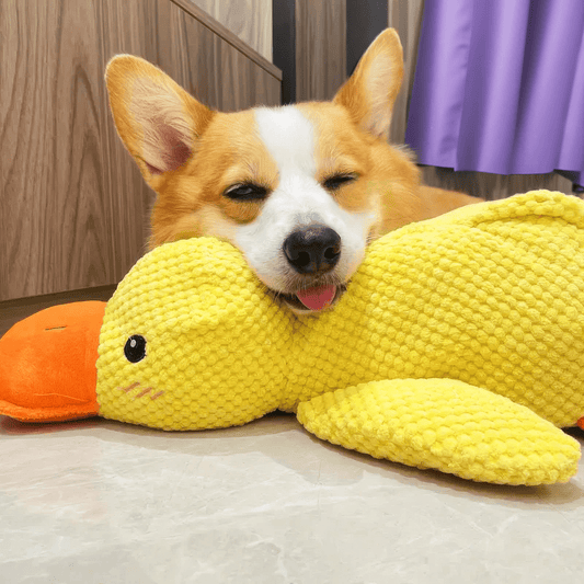 Calming Durable Chew & Cuddle Plush Duck Dog Toy