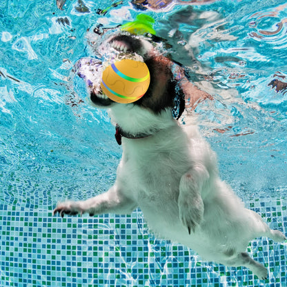 Interactive Remote-Controlled Dog Bouncing Ball | LED Jumping Pet Toy