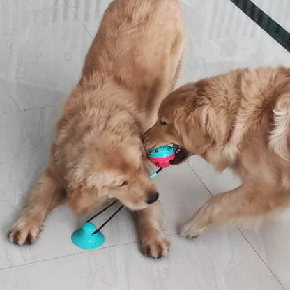 Suction Tug Dog Toy & Treat Dispenser Ball