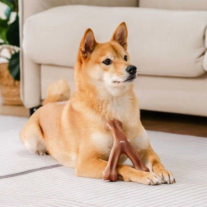 Bacon-Flavored Tough Dog Chew Toy for Teething | Dental Care