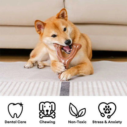 Bacon-Flavored Tough Dog Chew Toy for Teething | Dental Care