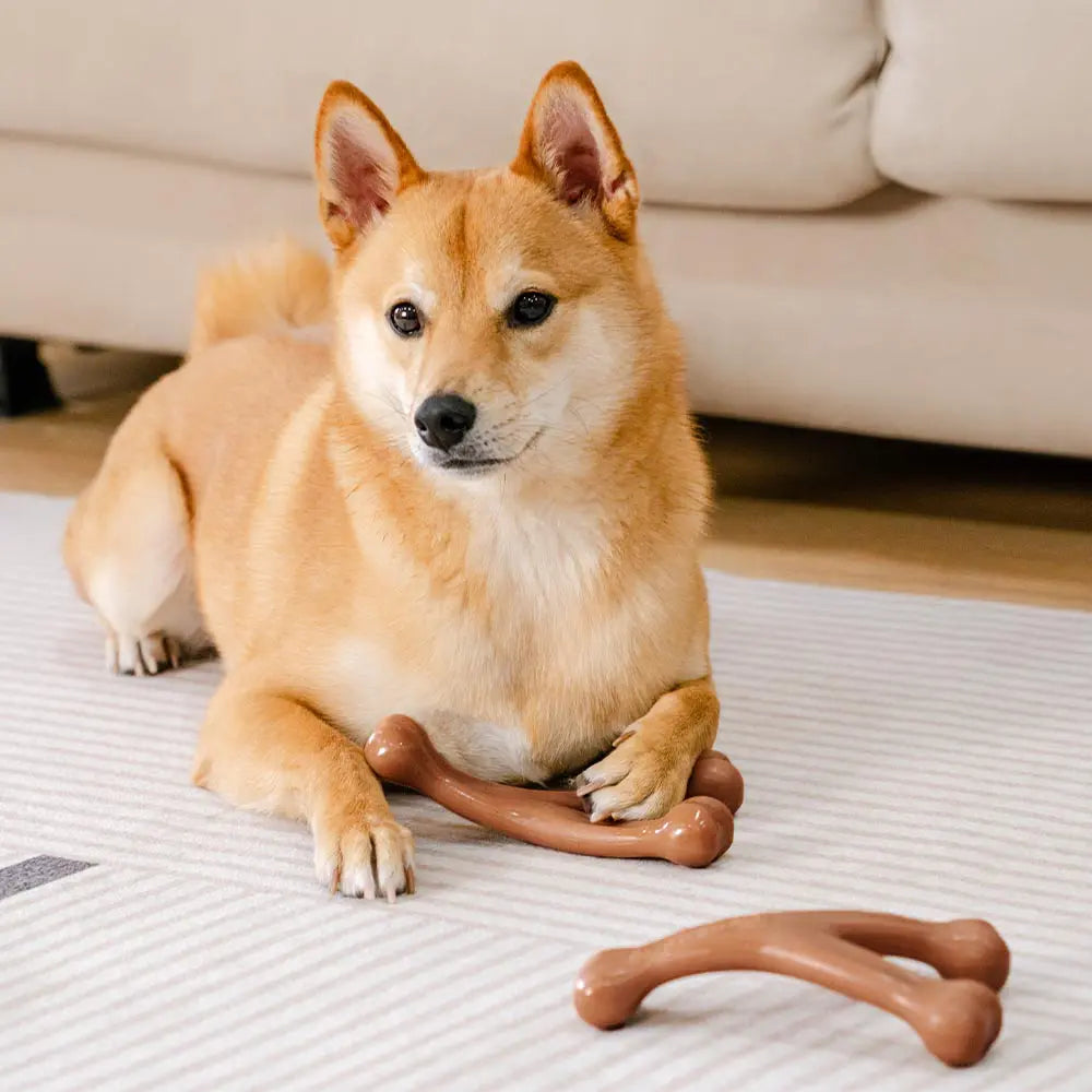 Bacon-Flavored Tough Dog Chew Toy for Teething | Dental Care