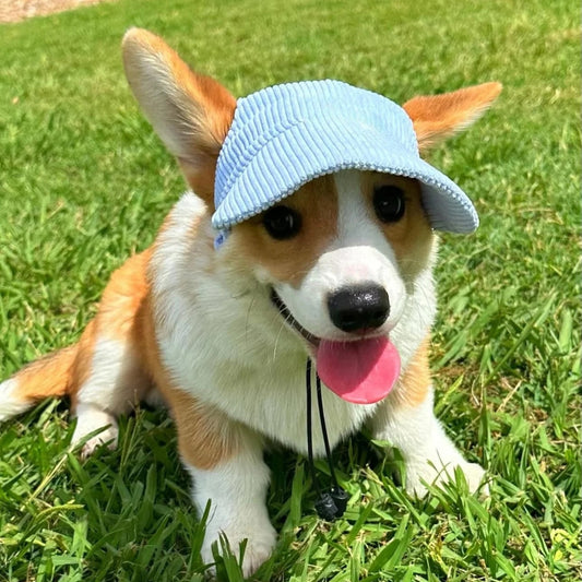 PupCap Dog Corduroy Outdoor Cap