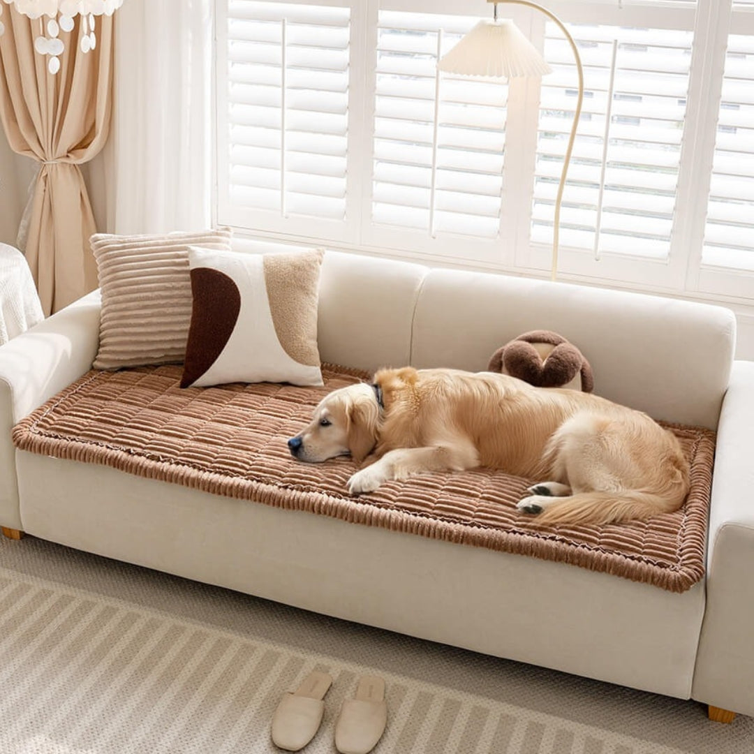 Non-Slip Pet Sofa Cover - Washable Plush Couch Protector for Dogs & Cats