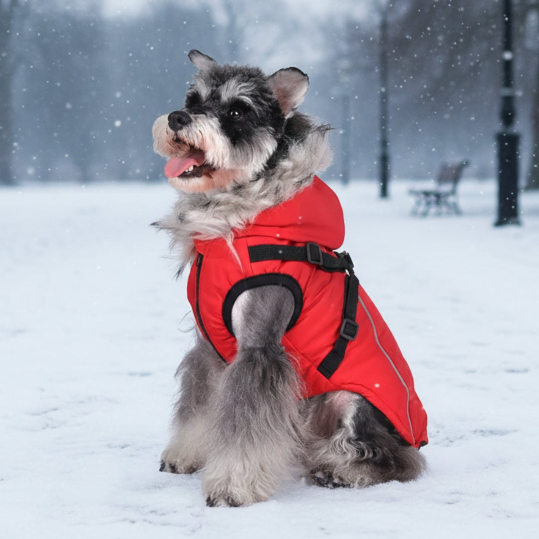 Waterproof Dog Winter Coat with Built-In Harness and Faux Fur Hood
