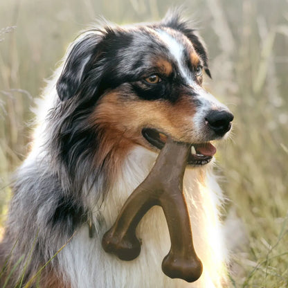 Bacon-Flavored Tough Dog Chew Toy for Teething | Dental Care