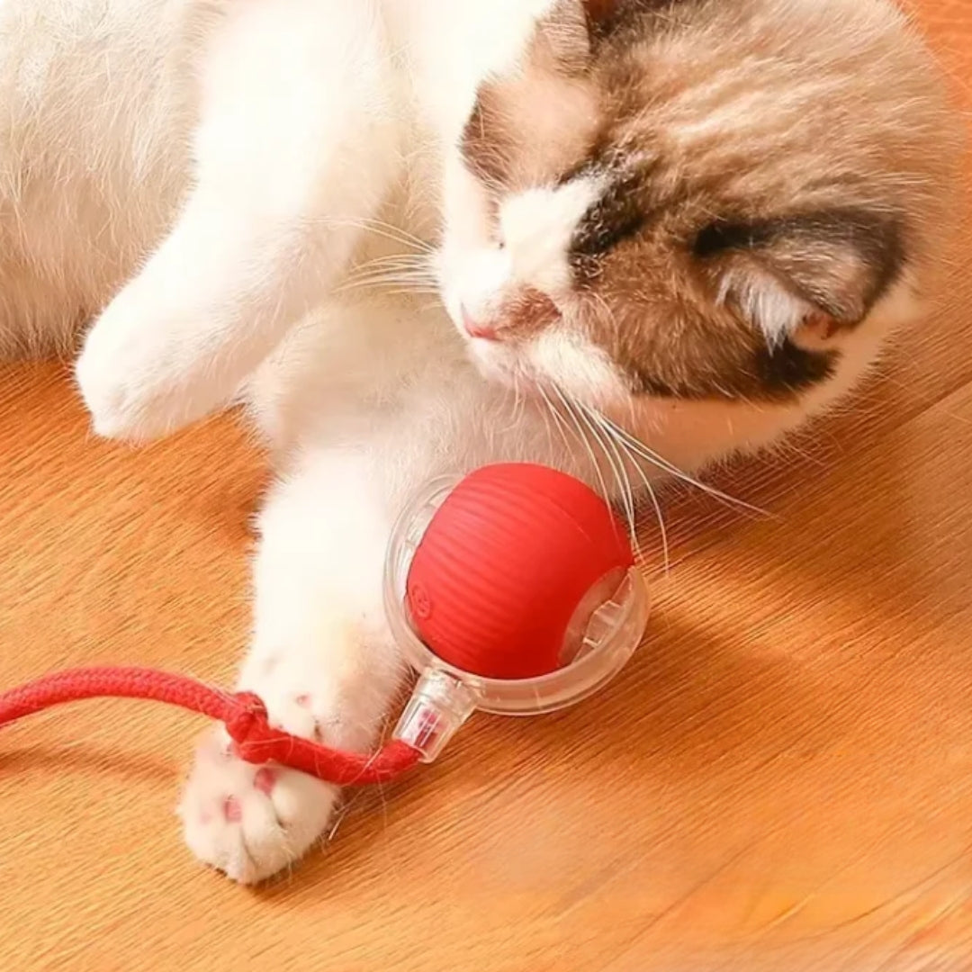 Automatic Interactive Smart Rolling Ball Pet Toy