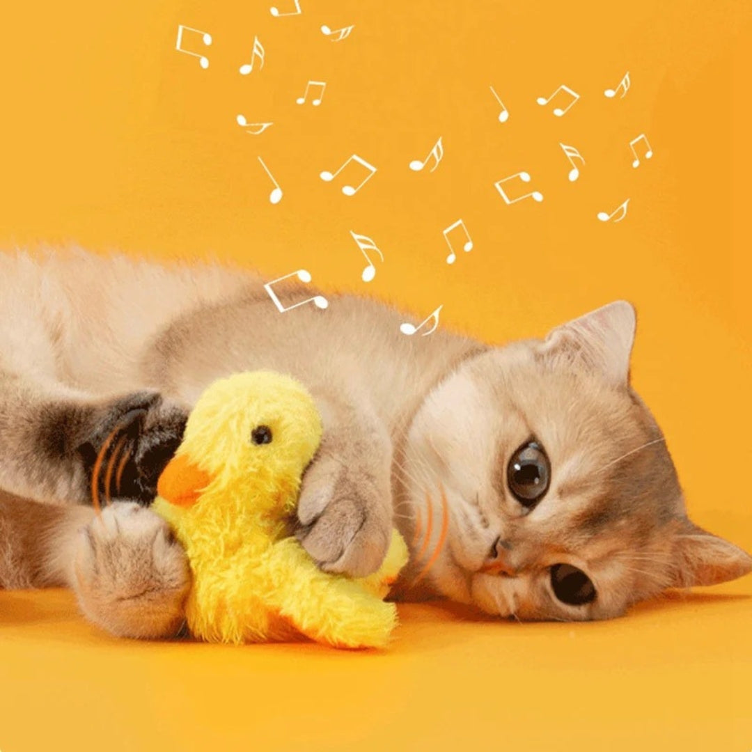 Fun Interactive Flapping Duck Cat Toy