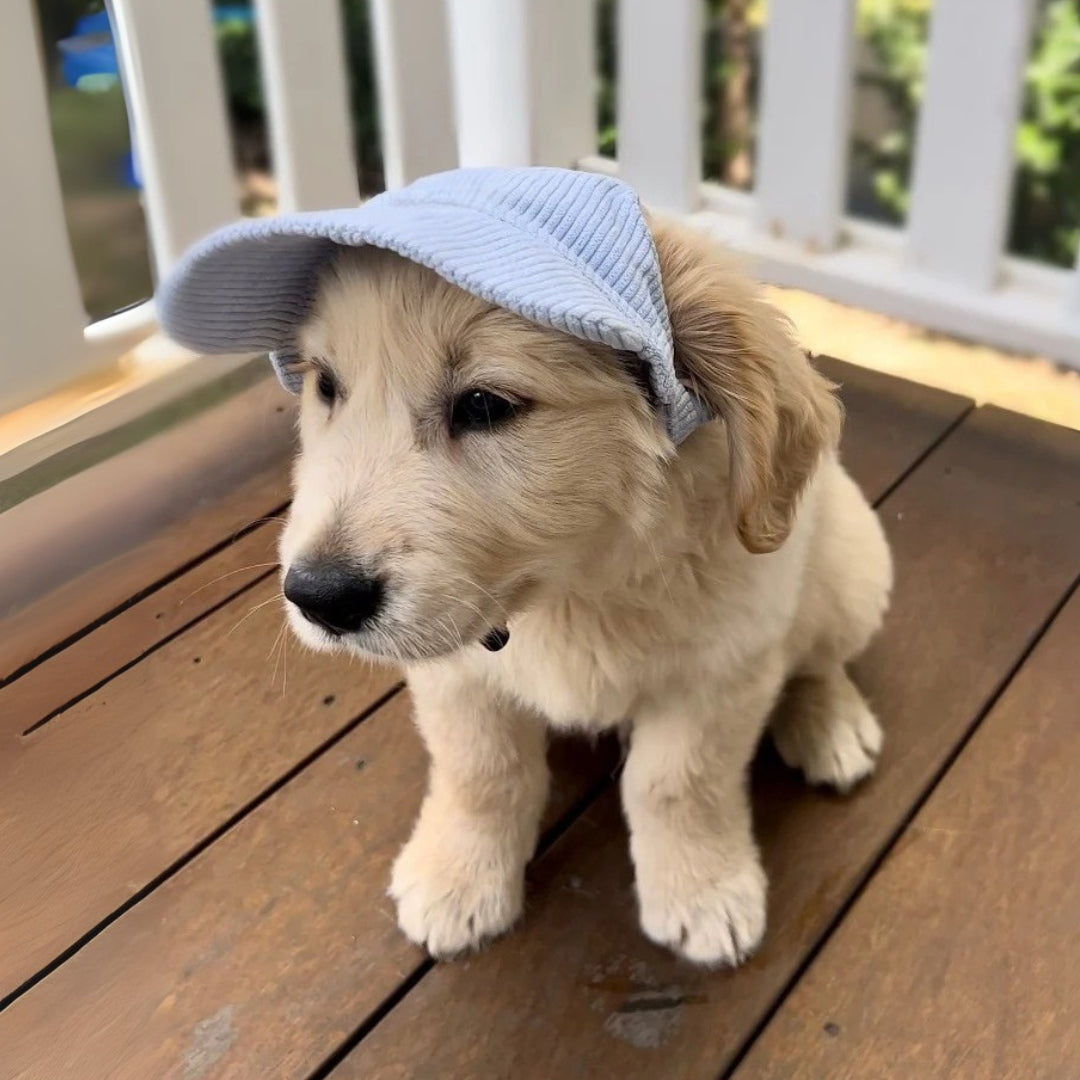 PupCap Dog Corduroy Outdoor Cap