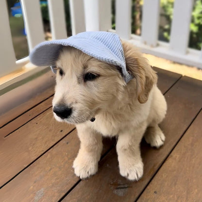 PupCap Dog Corduroy Outdoor Cap