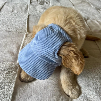 PupCap Dog Corduroy Outdoor Cap