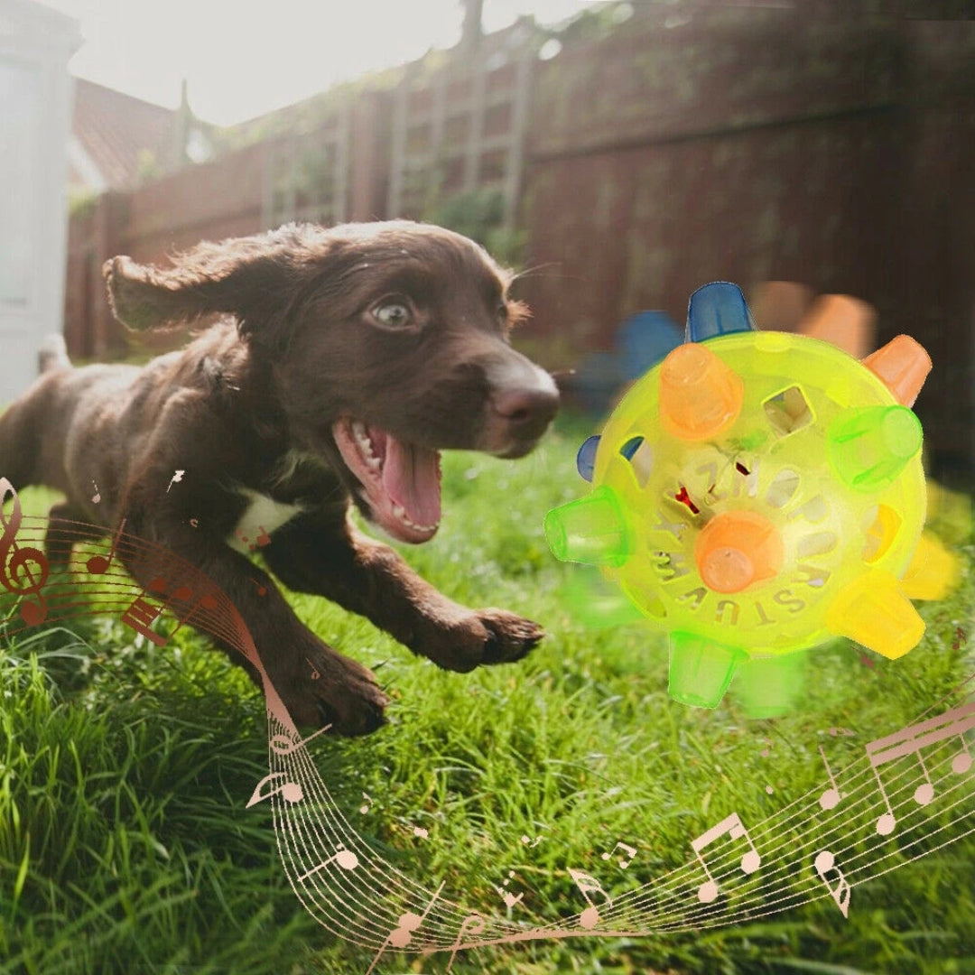 LED Jumping Activation Ball | Bouncing Interactive Dog Toy