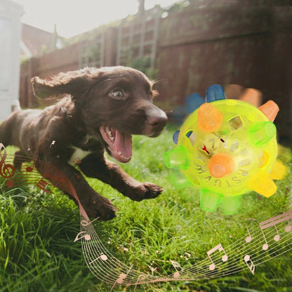 LED Jumping Activation Ball | Bouncing Interactive Dog Toy