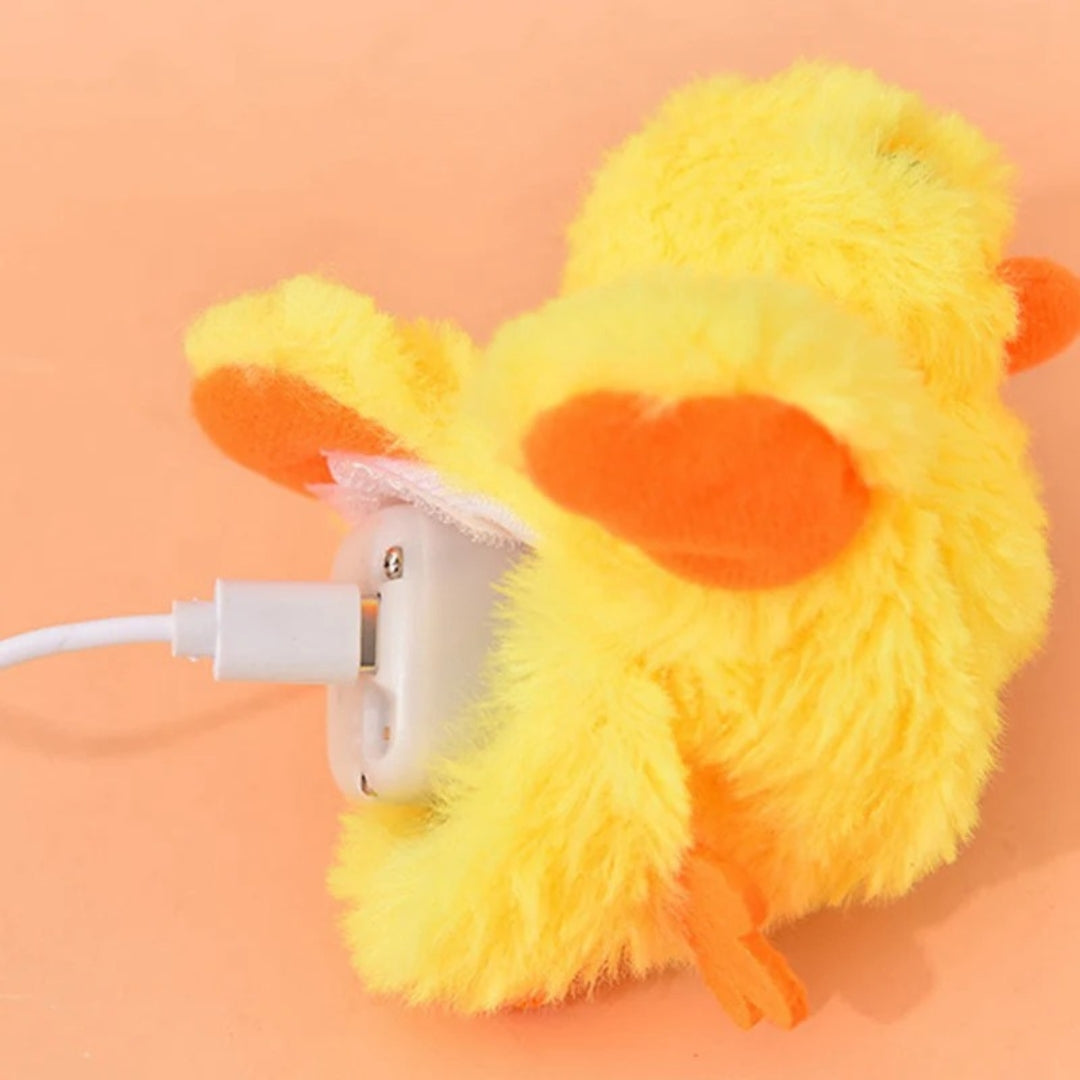 Fun Interactive Flapping Duck Cat Toy