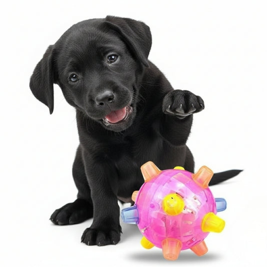 LED Jumping Activation Ball | Bouncing Interactive Fun Dog Toy