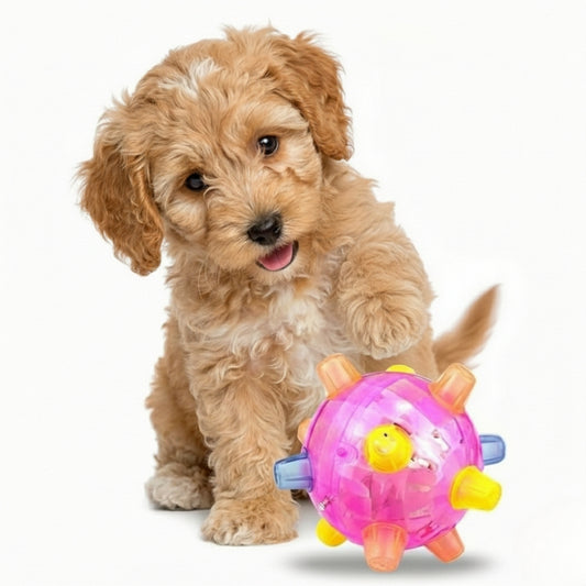 LED Jumping Activation Ball | Bouncing Fun Interactive Dog Toy