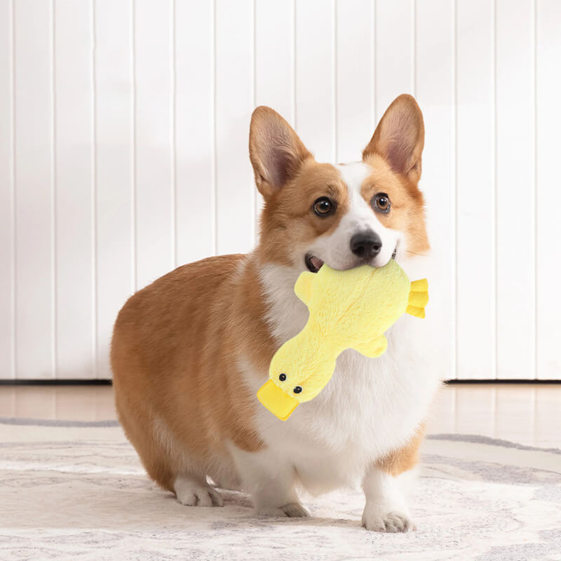 Cute Duck Plush Toy | Squeaky Dog Chew Toy