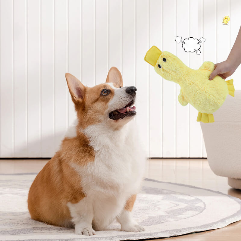 Cute Duck Plush Toy | Squeaky Dog Chew Toy