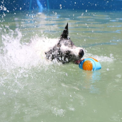 Floating Outdoor Dog Chew Toy | Interactive Waterproof TPR Stick & Ring