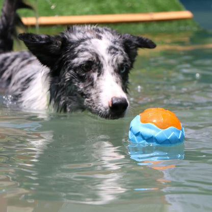 Floating Outdoor Dog Chew Toy | Interactive Waterproof TPR Stick & Ring