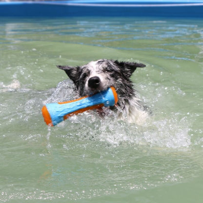 Floating Outdoor Dog Chew Toy | Interactive Waterproof TPR Stick & Ring
