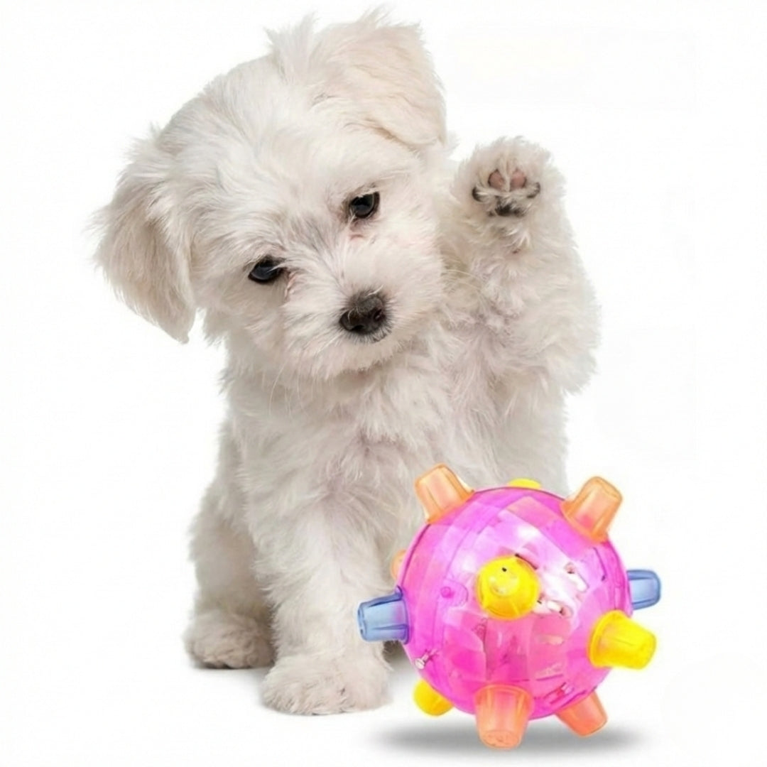 LED Jumping Activation Ball | Fun Bouncing Interactive Dog Toy