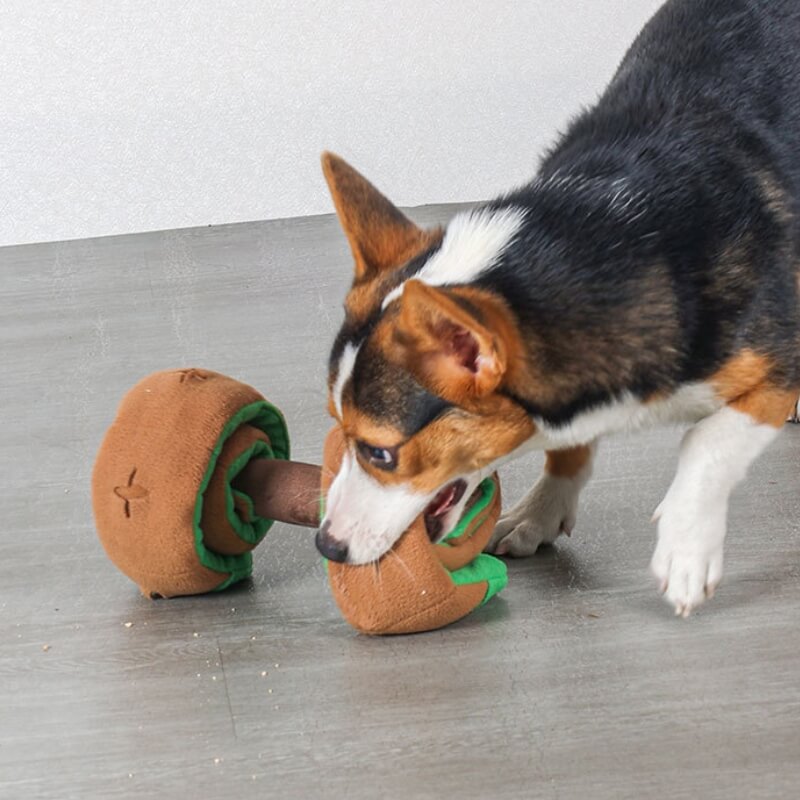 Interactive Dog Dumbbell Snuffle Toy | Plush Treat Puzzle Feeder