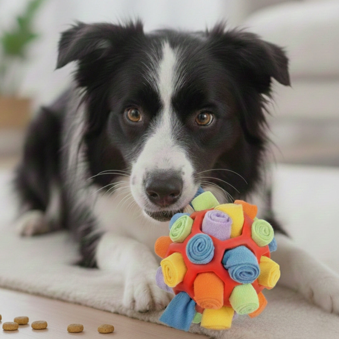 Snuffle Ball Puzzle Treat Toy For Dogs