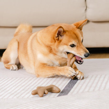 Bacon-Flavored Tough Dog Chew Toy for Teething | Dental Care