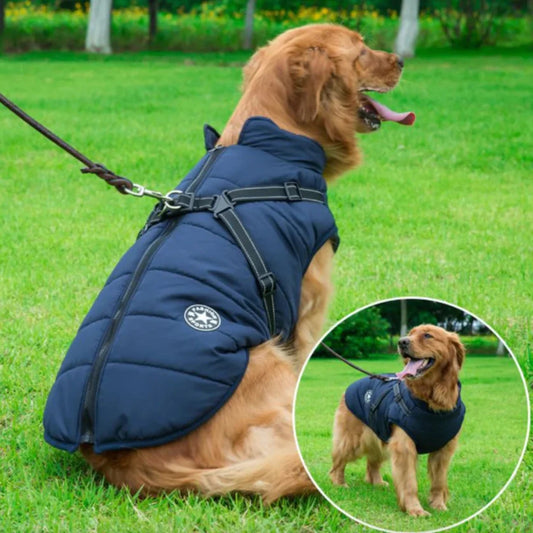 Waterproof Dog Winter Coat with Built-In Harness