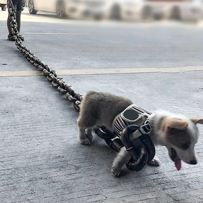 Funny Oversized Chain Lightweight Plastic Dog Leash