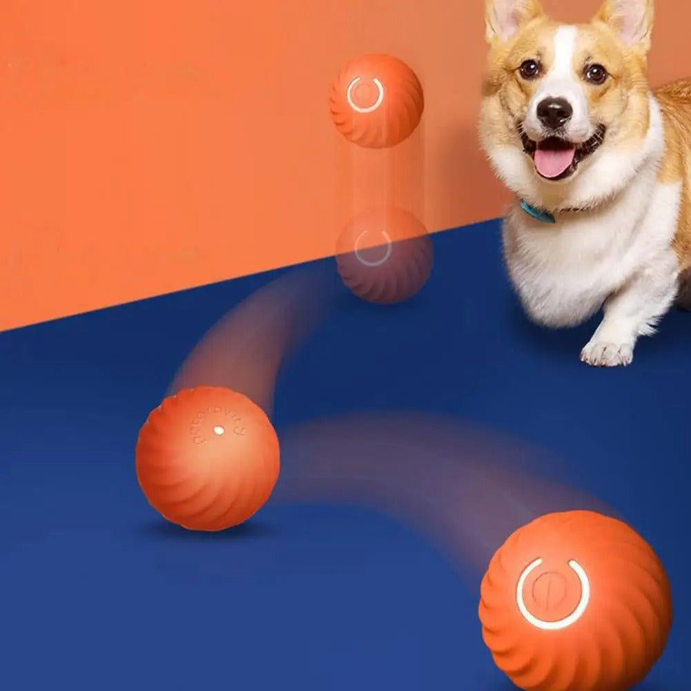 Smart Bouncing Activation Ball | Interactive LED Dog Toy