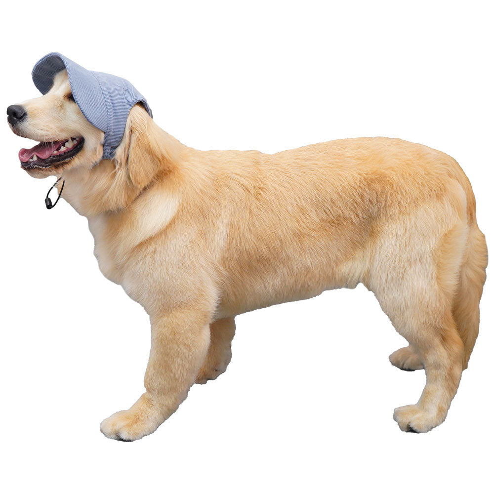 PupCap Dog Corduroy Outdoor Cap